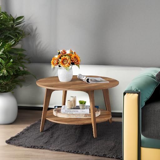 Foxcell Round Coffee Table, 2 Tier Coffee Table with Storage